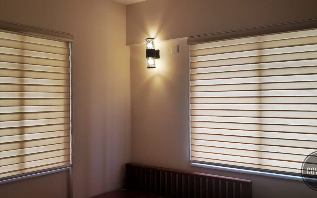 Windowblinds or Curtains, Which is the best ?